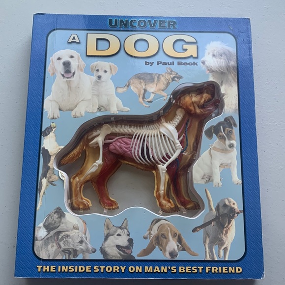 Silver Dolphin Other - Uncover A Dog Hardcover Book Written By Paul Beck